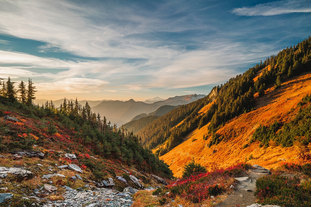 Addiction Rates in Washington State: Causes and Solutions